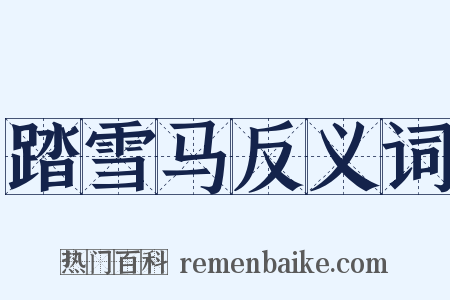 踏雪马反义词是什么意思的图片